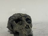 a skull that is sitting on the ground