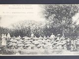 une photo en noir et blanc représentant un groupe de personnes dans un champ avec des moutons