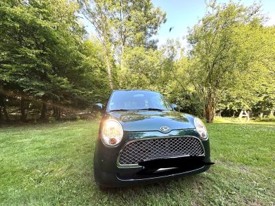 une photo d'une petite voiture noire garée dans l'herbe