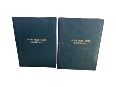 two blue books with gold lettering on them sitting next to each other