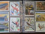a lot of stamps on the inside of a binder