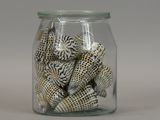 a glass jar with shells in it on a table