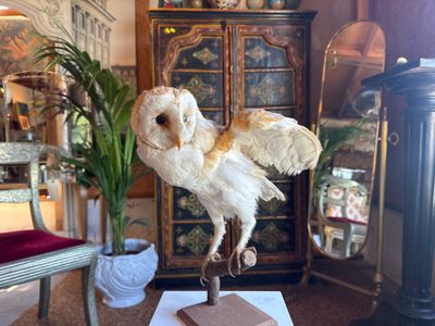 a statue of an owl sitting on top of a table