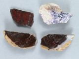 trois morceaux de roche et de pierre sont représentés sur une surface blanche