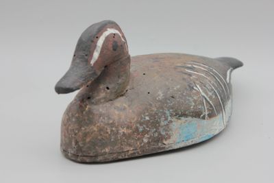 un canard perché sur un morceau de bois