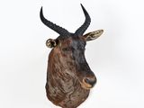 une image représentant une tête de cerf accrochée au mur