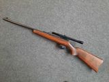 le fusil est posé par terre à côté du pistolet