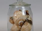 a glass jar filled with shells and shells inside of it