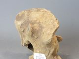 Photo 3/4 du lot