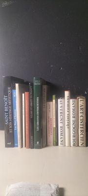 de nombreux livres posés sur une étagère au-dessus d'un lit