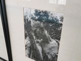 two framed pictures on the wall next to a toilet