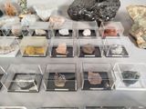 many different types of rocks in a display case
