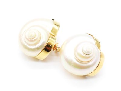 une paire de boucles d'oreilles en coquillage blanc sur fond blanc