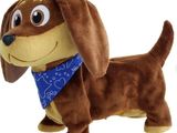 a brown dog with a blue bandanna on it ' s neck