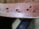 a close up of a piece of wood with holes in it