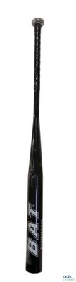 an image of a baseball bat with a baseball in it