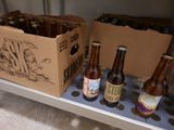 Plusieurs bouteilles de bière sont posées sur une étagère dans un réfrigérateur