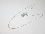 gros plan d'un collier auquel est attachée une étiquette