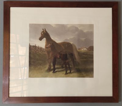 tableau représentant un cheval et un poulain dans un champ, près d'une clôture
