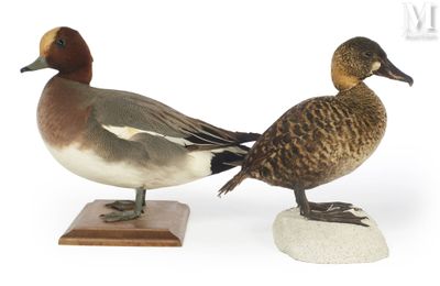 pair of ducks sitting on top of a wooden base on a white surface