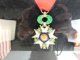 quelqu'un tient une médaille entourée d'un ruban rouge