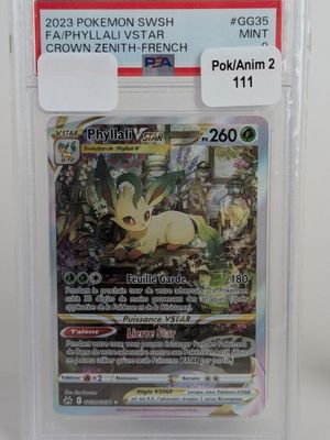 une image d'une carte Pokémon dans un étui en plastique