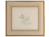 dessin d'un chien dans un cadre sur fond blanc