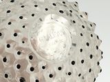 a white vase with black dots on it