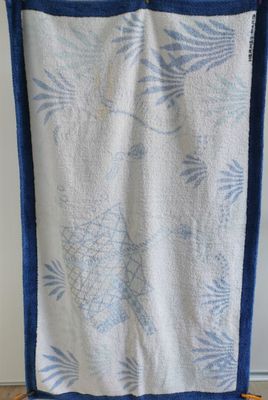 une serviette bleue et blanche suspendue à un porte-serviettes devant un mur blanc