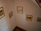 pictures on the wall above the stairs in the house