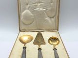 an image of a set of three silverware in a case