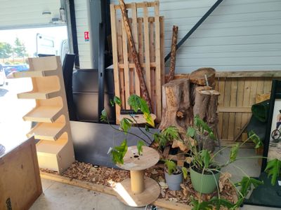 un tas de bois et de plantes par terre