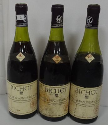 3 Bts Côte de Beaune Village. Bichot.