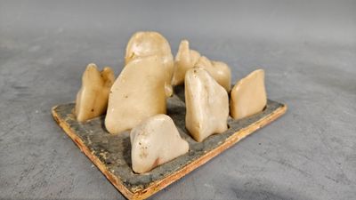 cinq fragments de dent posés sur un plateau