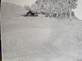 dessin représentant une maison dans un champ, avec des arbres en arrière-plan