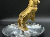 figurine de chien en or posée sur un plateau en argent, sur fond noir