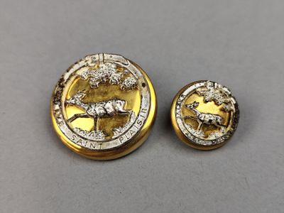 two gold and silver buttons with a horse on them