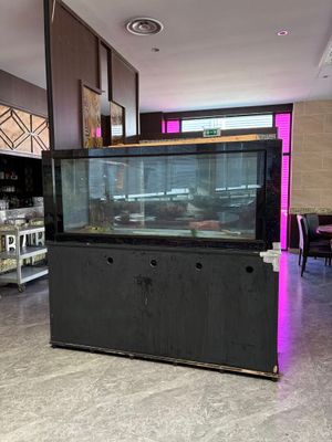 un aquarium posé au milieu d'une grande pièce