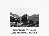 photographie en noir et blanc d'un rocher au milieu d'un champ