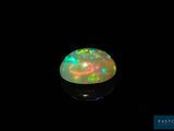 an oplite in the dark with a black background