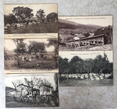 trois vieilles cartes postales représentant une ferme avec de nombreux animaux