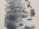 drawing of a flock of ducks flying over a river next to a forest