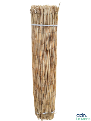 un grand balai en paille muni d'un manche, sur fond blanc