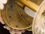 a gold basket with a fan inside of it on a table