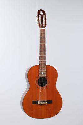 an image of a guitar hanging on a wall with a white background