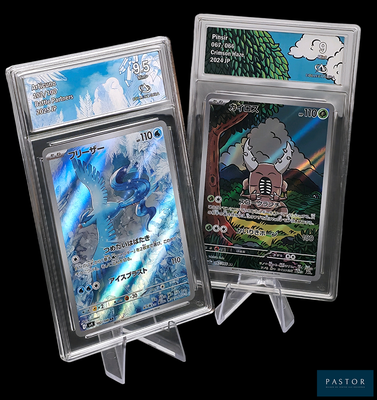 deux cartes Pokémon exposées dans des pochettes en plastique