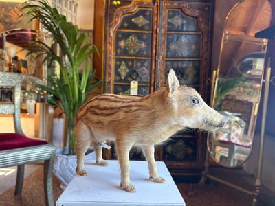 a fake boar that is standing on top of a table