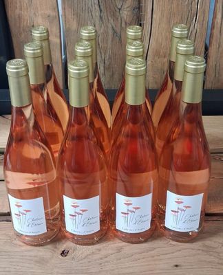 Six bouteilles de vin rosé sont alignées sur une table en bois
