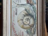 painting of a snail on a table in a frame on a table