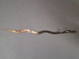 a small snake that is laying on a table
